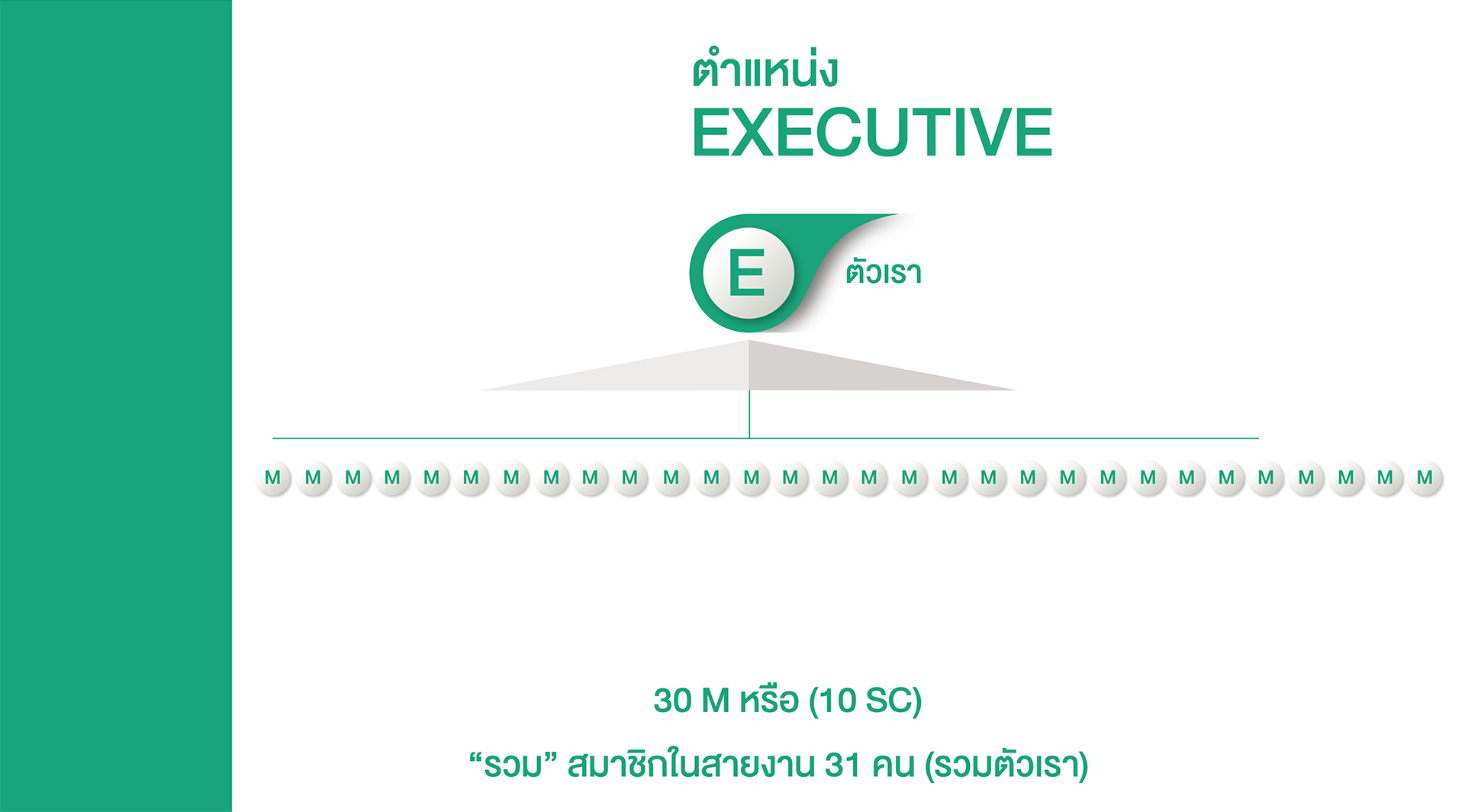 E (EXECUTIVE)
